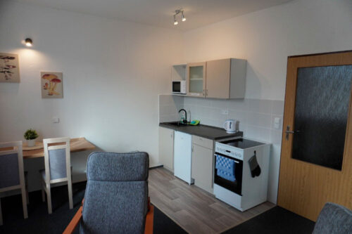 dvojluzkovy-apartman-pro-pary-3